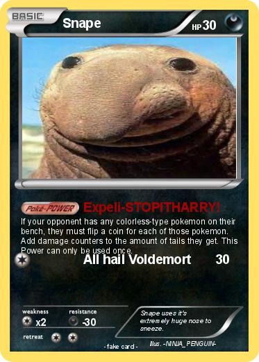 Pokemon Snape