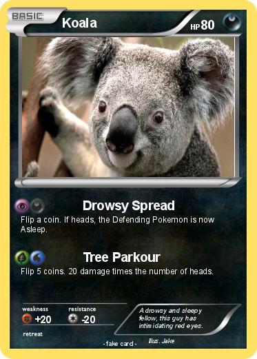 Pokemon Koala