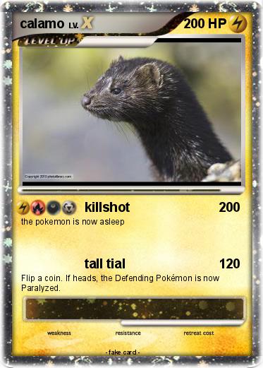 Pokemon calamo