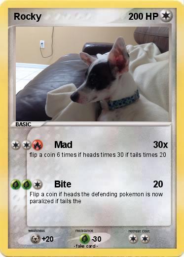 Pokemon Rocky