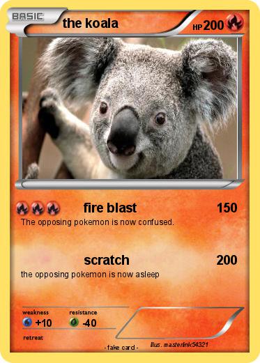 Pokemon the koala