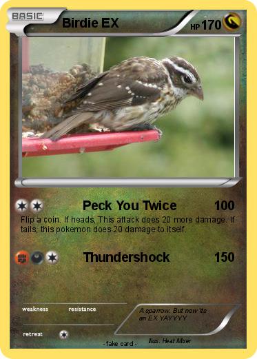 Pokemon Birdie EX