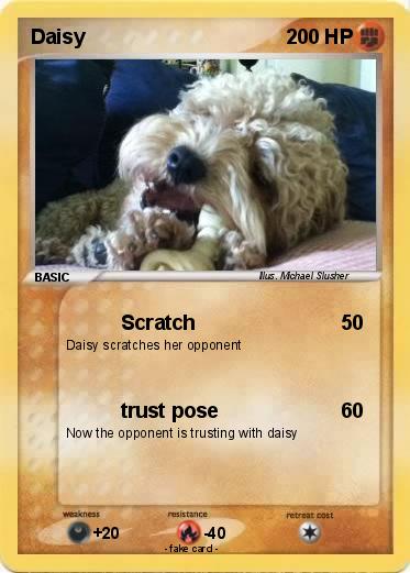 Pokemon Daisy