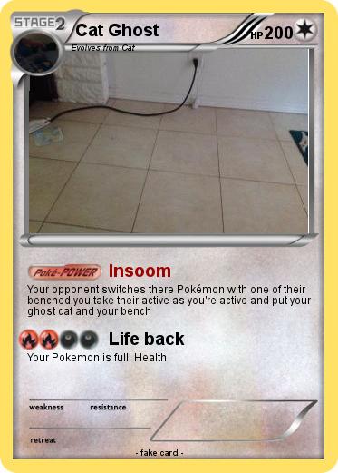 Pokemon Cat Ghost