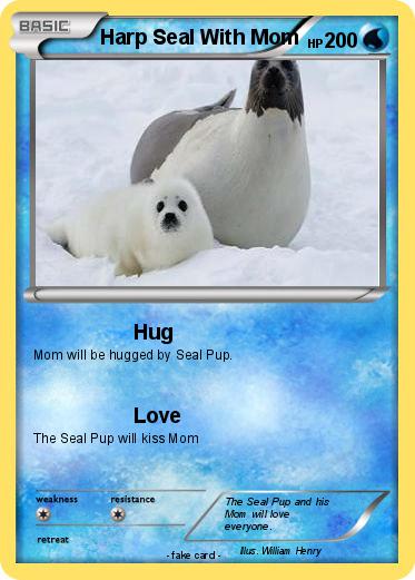 Pokemon Harp Seal With Mom