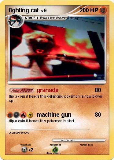 Pokemon fighting cat