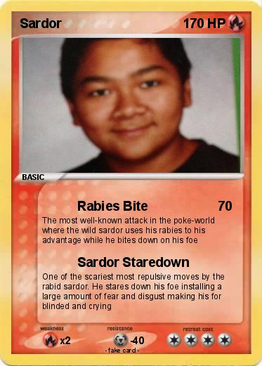 Pokemon Sardor