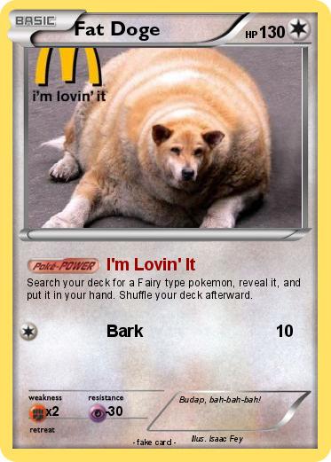 Pokemon Fat Doge