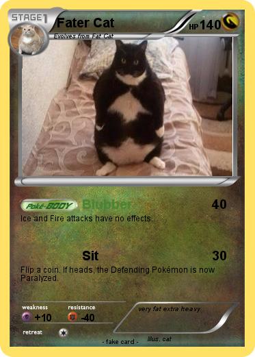 Pokemon Fater Cat