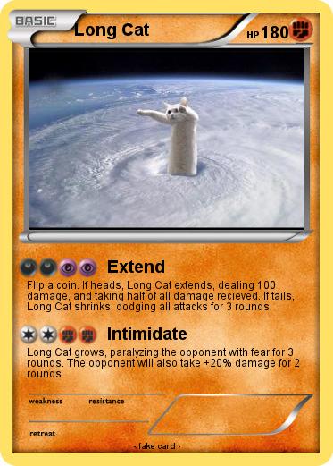 Pokemon Long Cat
