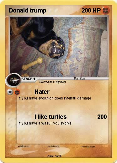 Pokemon Donald trump
