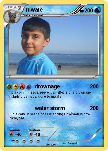 Pokemon niwate