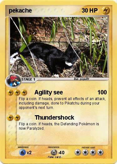 Pokemon pekache