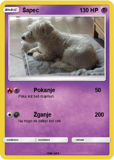 Pokemon Šapec