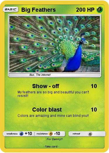 Pokemon Big Feathers