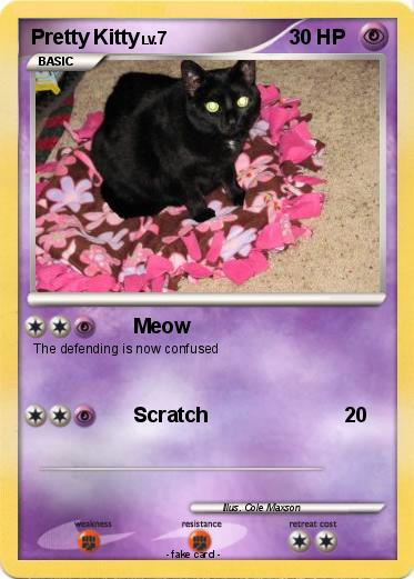 Pokemon Pretty Kitty