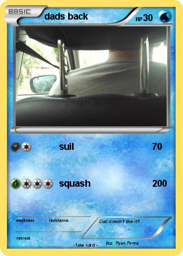 Pokemon dads back