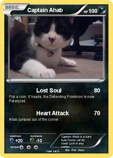 Pokemon Captain Ahab