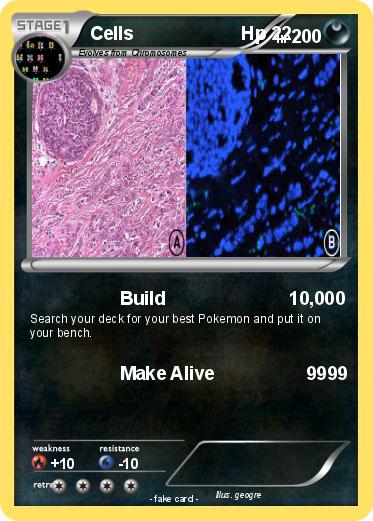 Pokemon Cells                     Hp 22