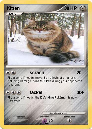 Pokemon Kitten