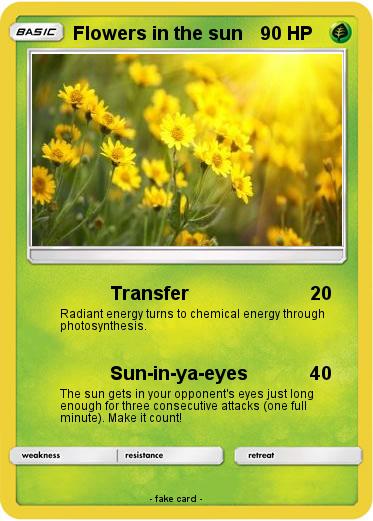 Pokemon Flowers in the sun