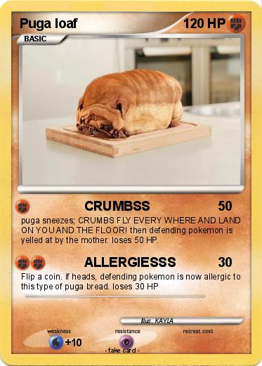 Pokemon Puga loaf