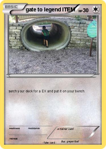 Pokemon gate to legend ITEM