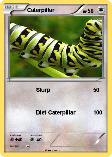 Pokemon Caterpillar