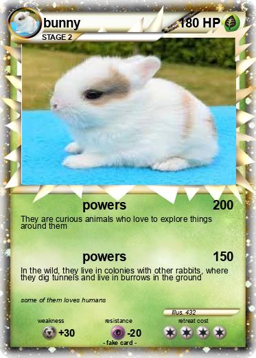 Pokemon bunny