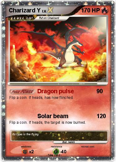 Pokemon Charizard Y