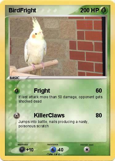 Pokemon BirdFright