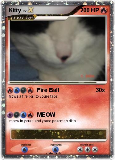 Pokemon Kitty