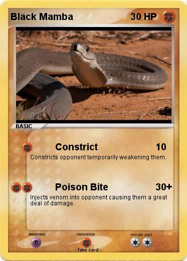 Pokemon Black Mamba