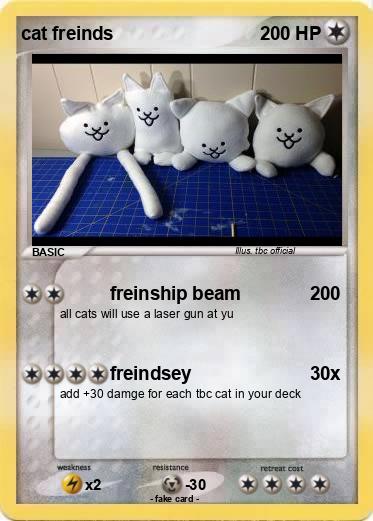 Pokemon cat freinds