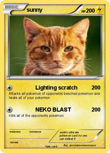 Pokemon sunny