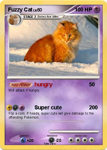 Pokemon Fuzzy Cat