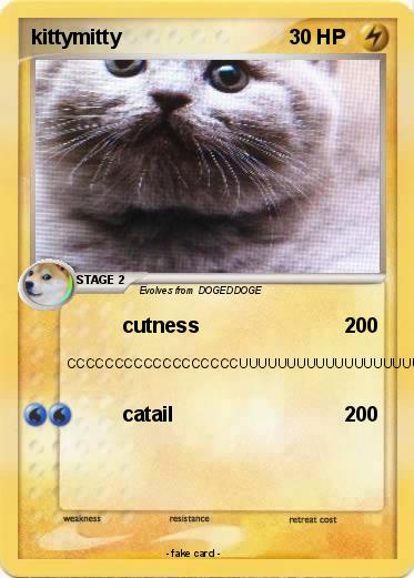 Pokemon kittymitty