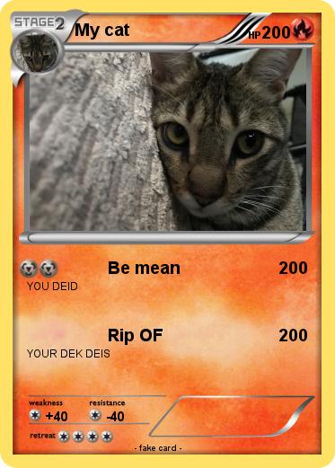 Pokemon My cat