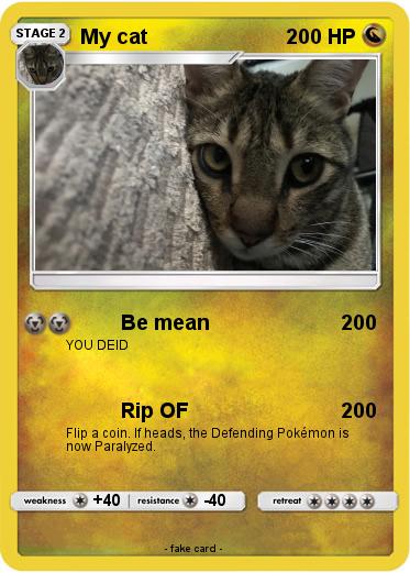 Pokemon My cat