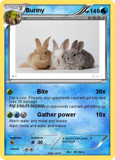 Pokemon Bunny