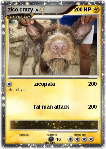 Pokemon zico crazy