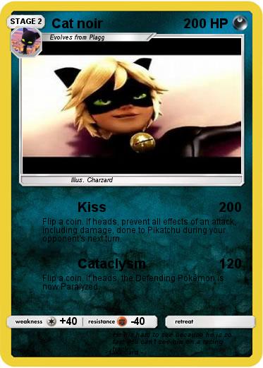 Pokemon Cat noir