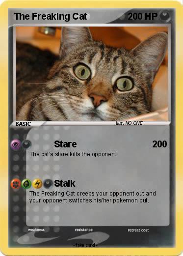 Pokemon The Freaking Cat