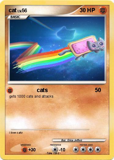 Pokemon cat