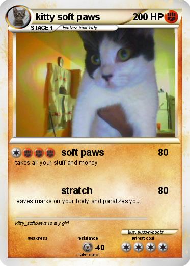 Pokemon kitty soft paws