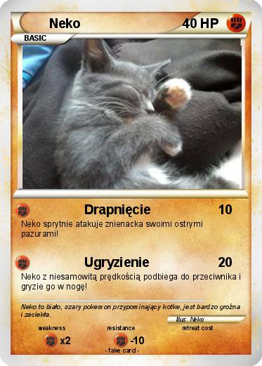 Pokemon Neko