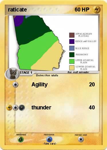 Pokemon raticate