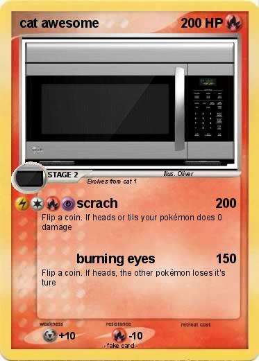 Pokemon cat awesome