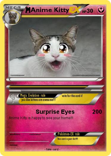 Pokemon Anime Kitty
