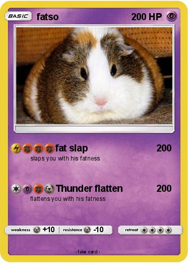 Pokemon fatso